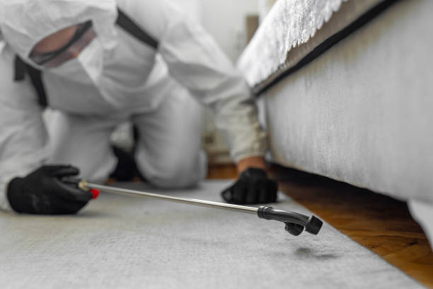Professional Termite Control technician working in Hoosick Falls, NY