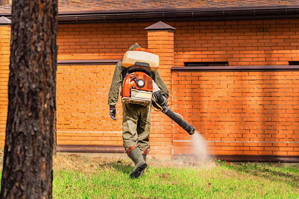 Trusted Termite Control service in Hoosick Falls, NY - Nex Pest Control